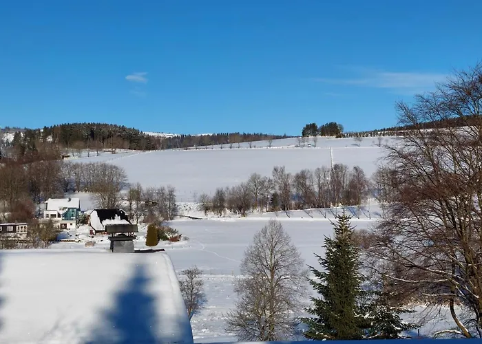 Franz-wilhelm Apartman Winterberg